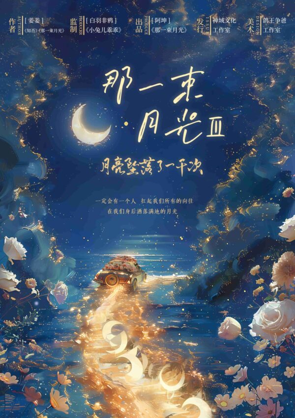 那一束月光3-封面