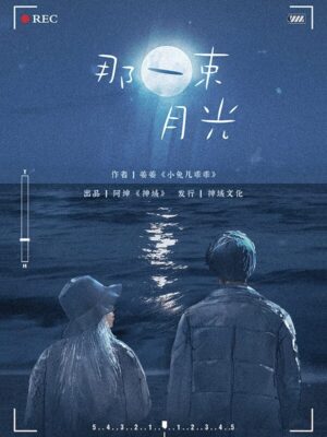 那一束月光-封面